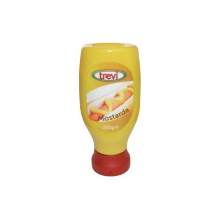 Trevi moutarde "mostarda" 250 GRS