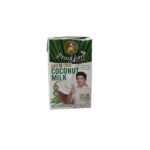 Lait de coco 250ml 17-19% de matières grasses PraoHom